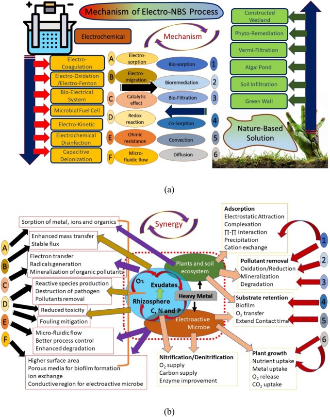 Coupling of electrochemical systems with nature-based solution for