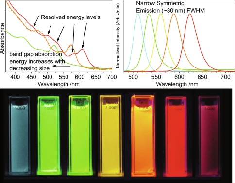 Quantum dots in single molecule spectroscopy - ScienceDirect