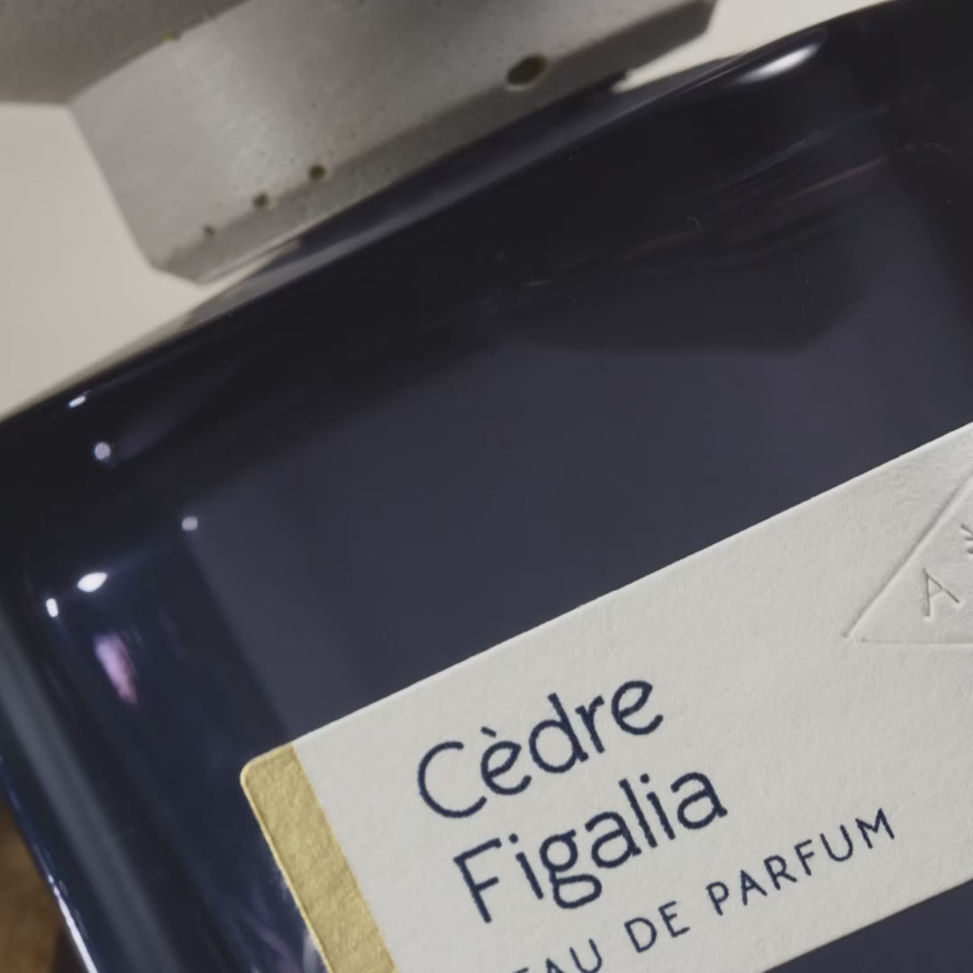 Cedre Figalia - Vegetal, Woody Unisex Perfume | Atelier Materi