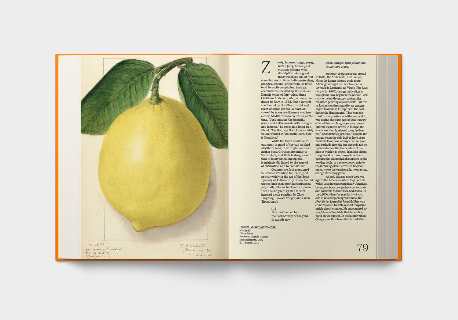 An Illustrated Catalog of American Fruits & Nuts – Atelier