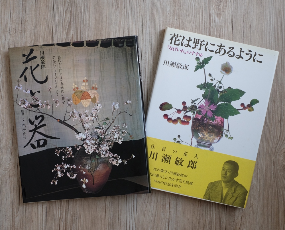 世界のふしぎな木の実図鑑 – アトリエグラス | 木の実とスパイスの