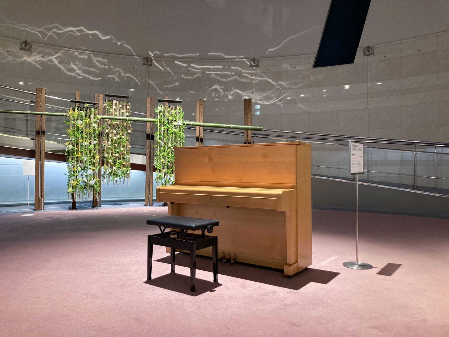 448049177_10161975359339884_42