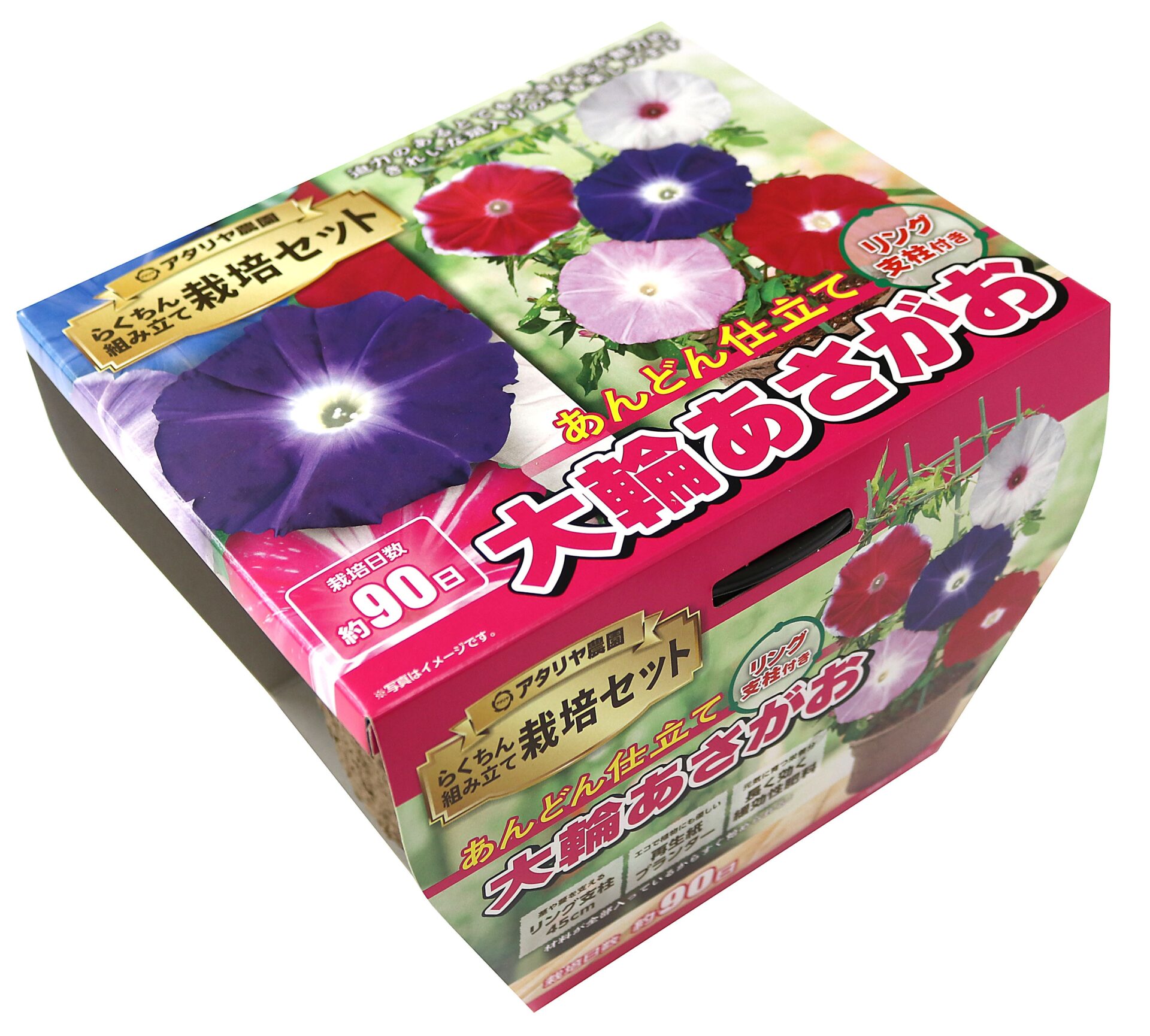 支柱あり 大輪あさがお | 株式会社アタリヤ農園