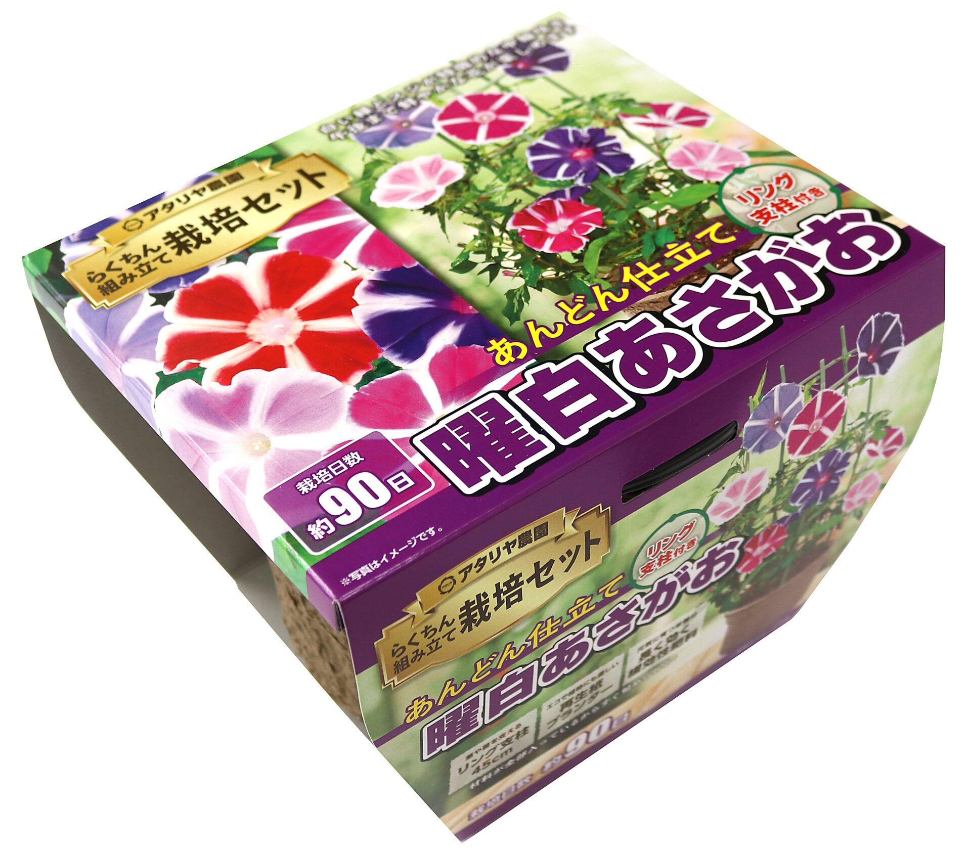 支柱あり 曜白あさがお | 株式会社アタリヤ農園