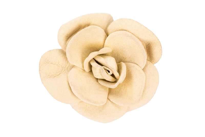 Untitleddesign_1_0e6defd4-25d8