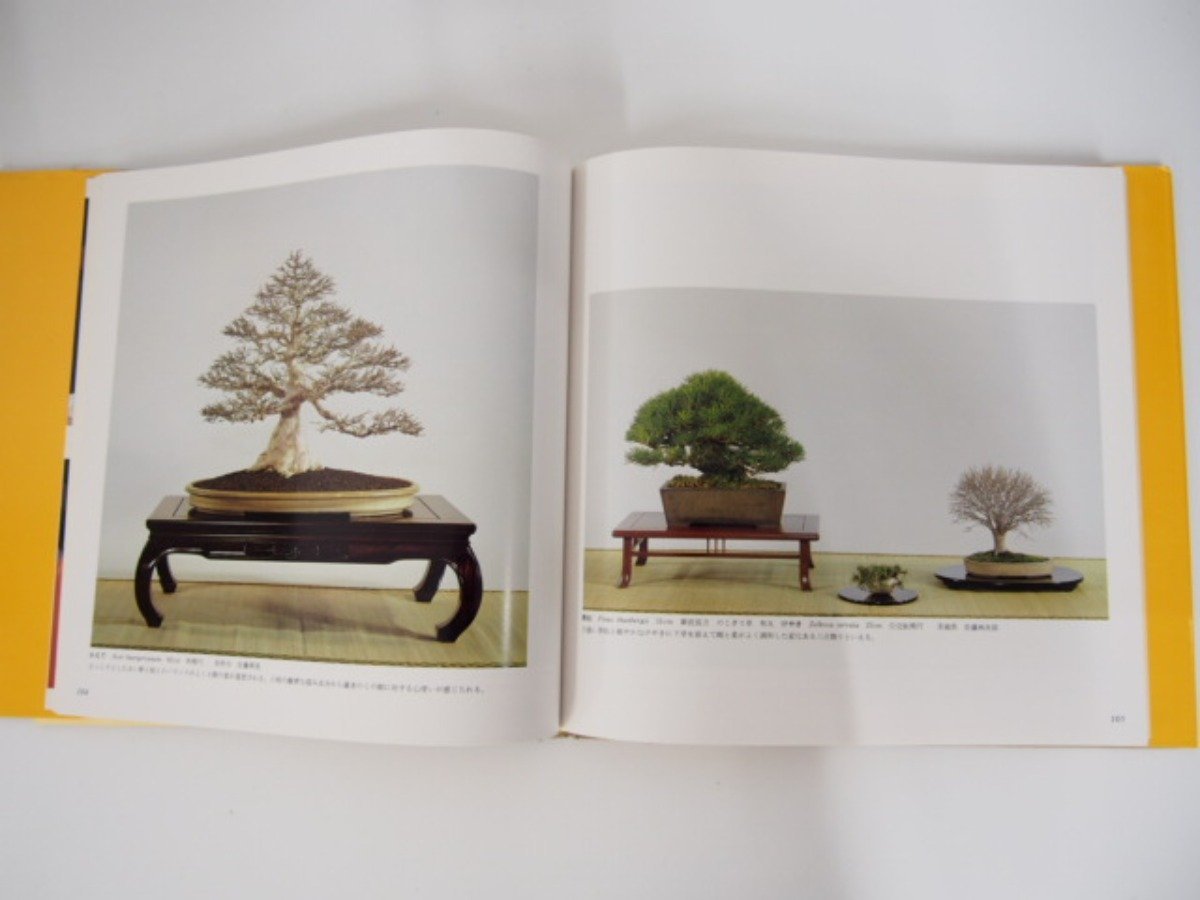 国風盆栽展 第63回〜第69回 国風盆栽展 第69回 : 日本盆栽協会: 本