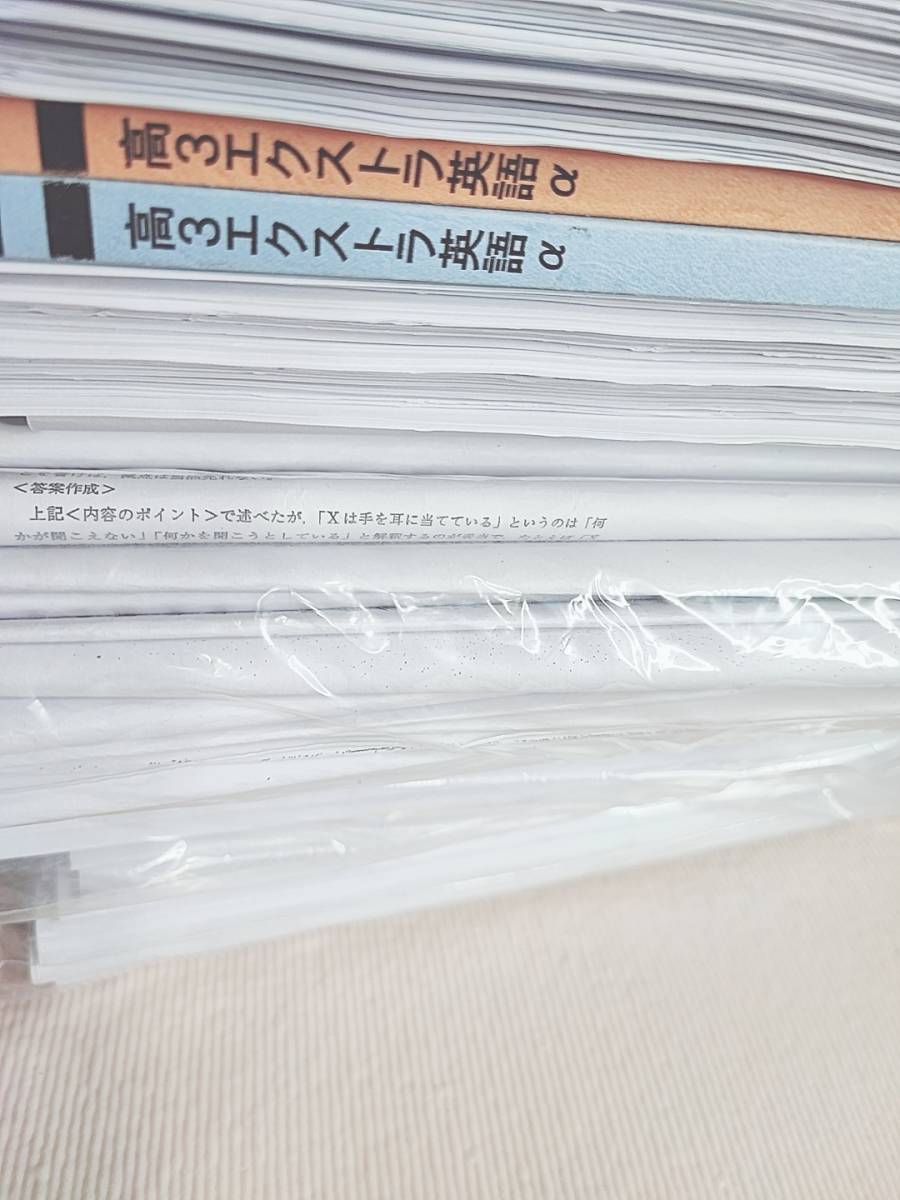 駿台 竹岡広信先生 高3エクストラ英語α 前期 後期 プリント テキスト