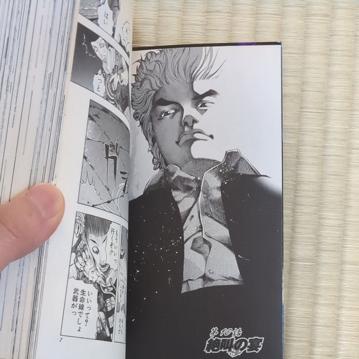 嘘喰い 全巻完結セット 1~49巻＋嘘喰いと賭郎立会人 計50巻 迫稔雄