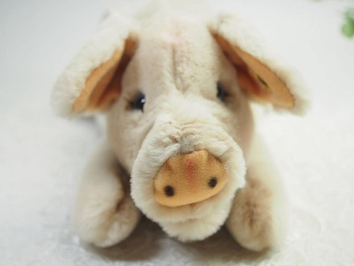 シュタイフ Cosy Pig 28cm 寝そべりブタさん/豚/コージーピッグ