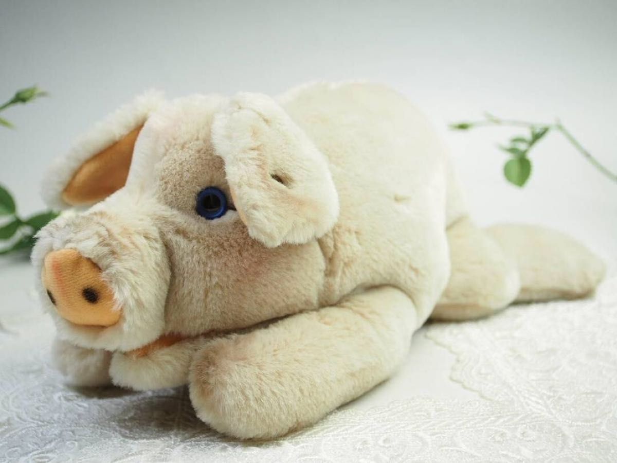 シュタイフ Cosy Pig 28cm 寝そべりブタさん/豚/コージーピッグ