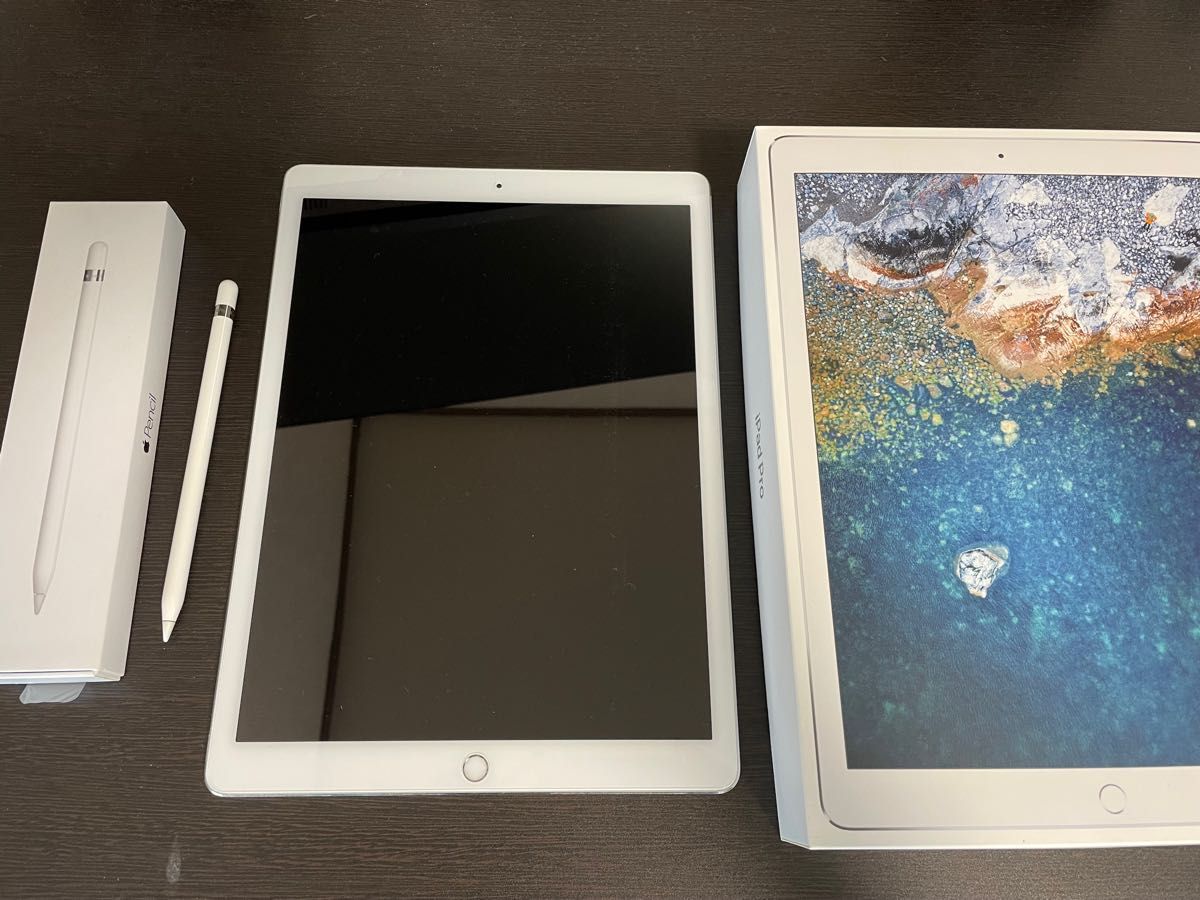 iPad Pro 第1世代256GB+Apple Pencil第2世代