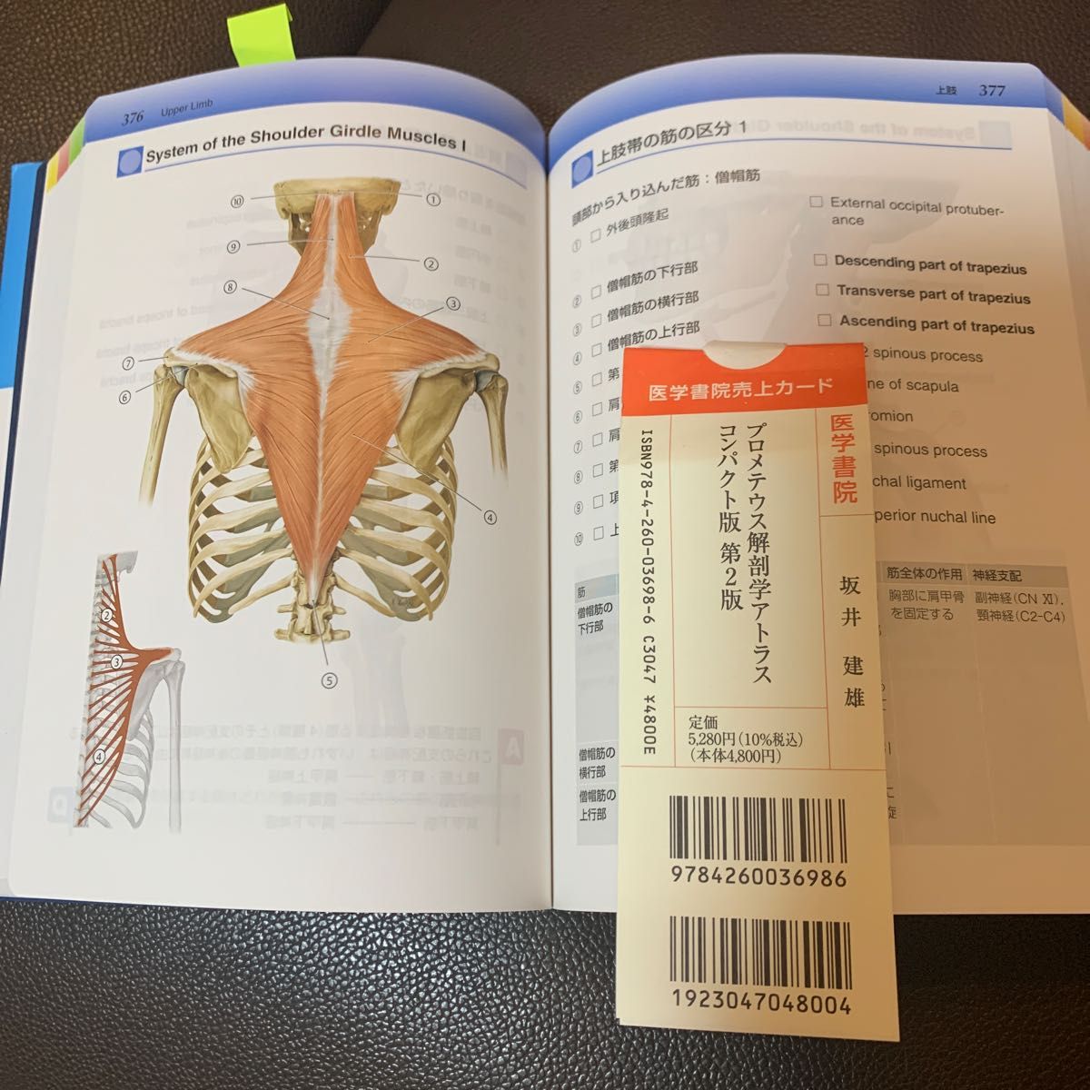 解剖学アトラス コンパクト版 （第2版）｜Yahoo!フリマ（旧PayPayフリマ）