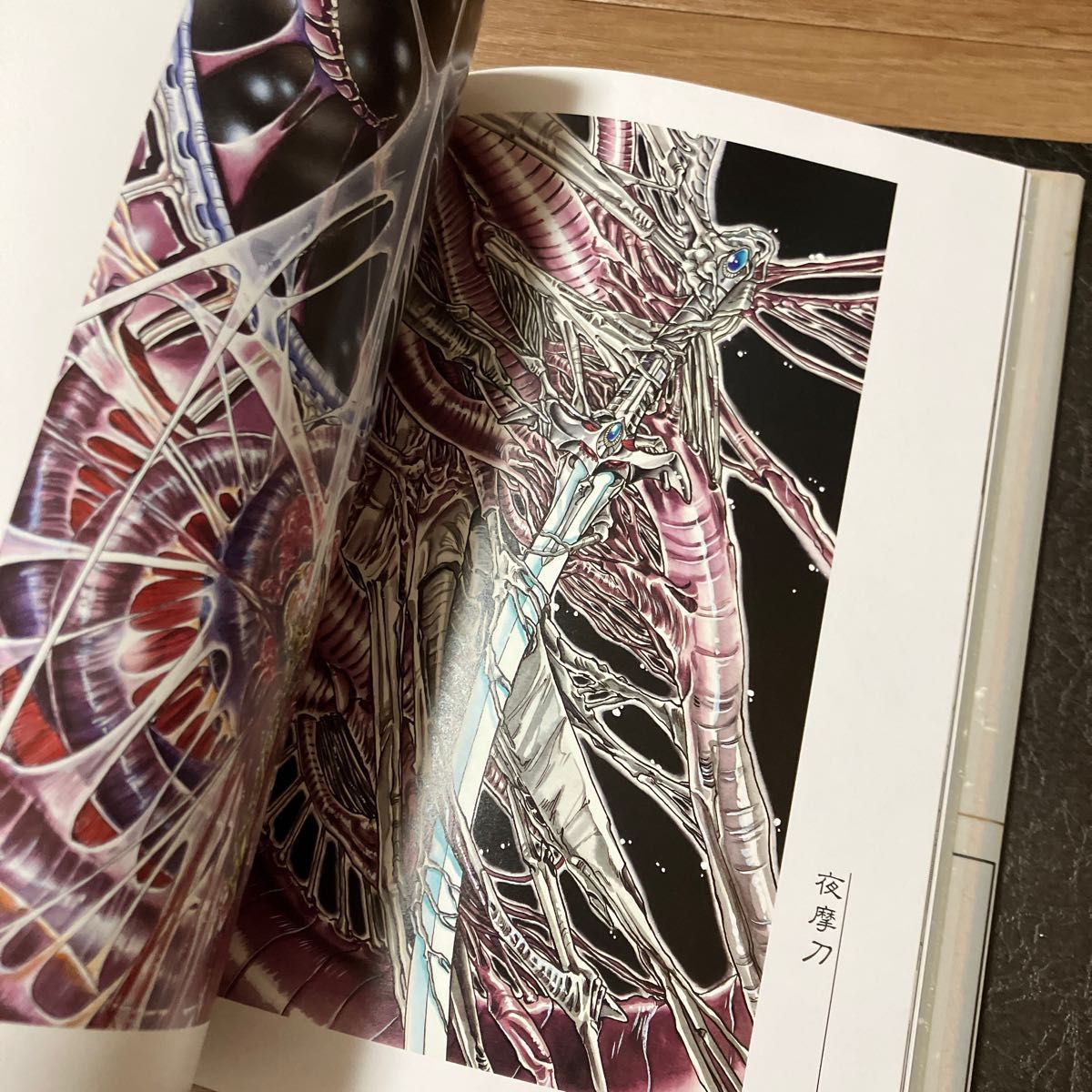 CLAMP 非天夢魔 聖伝 イラスト集 画集｜Yahoo!フリマ（旧PayPayフリマ）