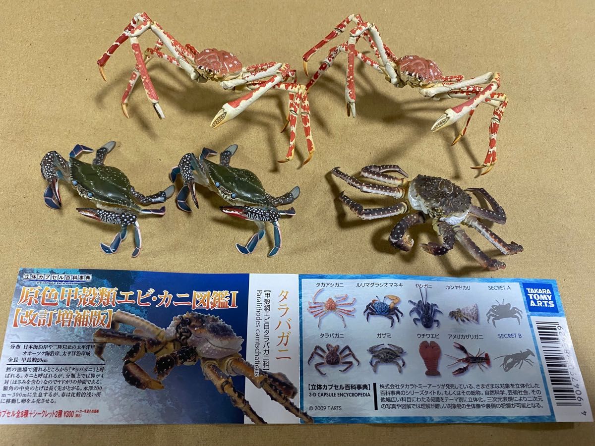 原色甲殻類エビ・カニ図鑑Ⅰ 計5体｜Yahoo!フリマ（旧PayPayフリマ）