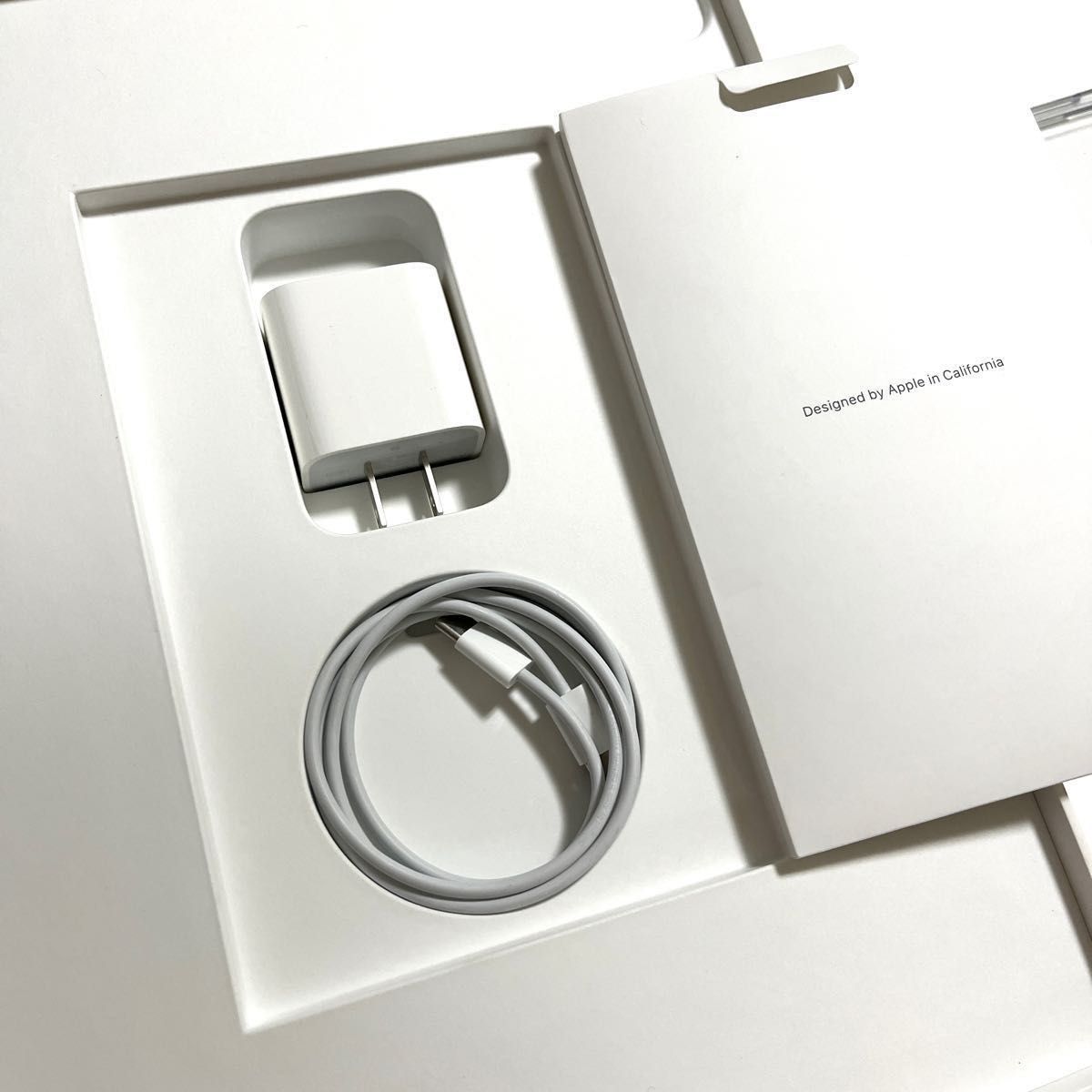 iPad Pro 12 9 128GB 元箱 充電器 ケーブル 第五世代 第5世代 Wi-Fi