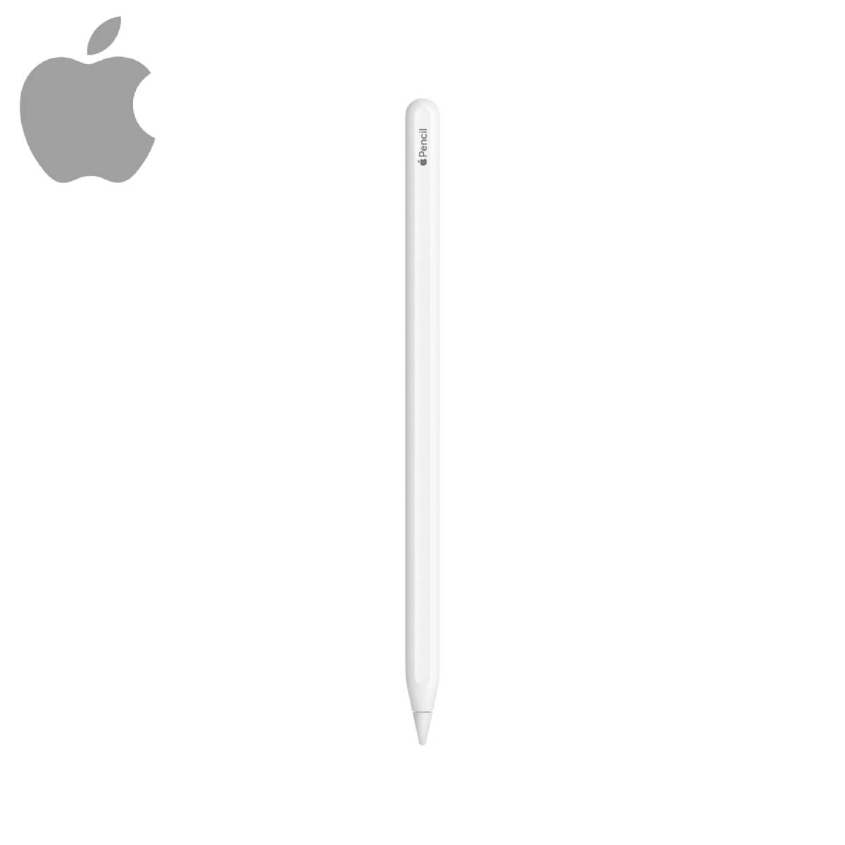 Apple Pencil （2nd generation） アップルペンシル （第2世代