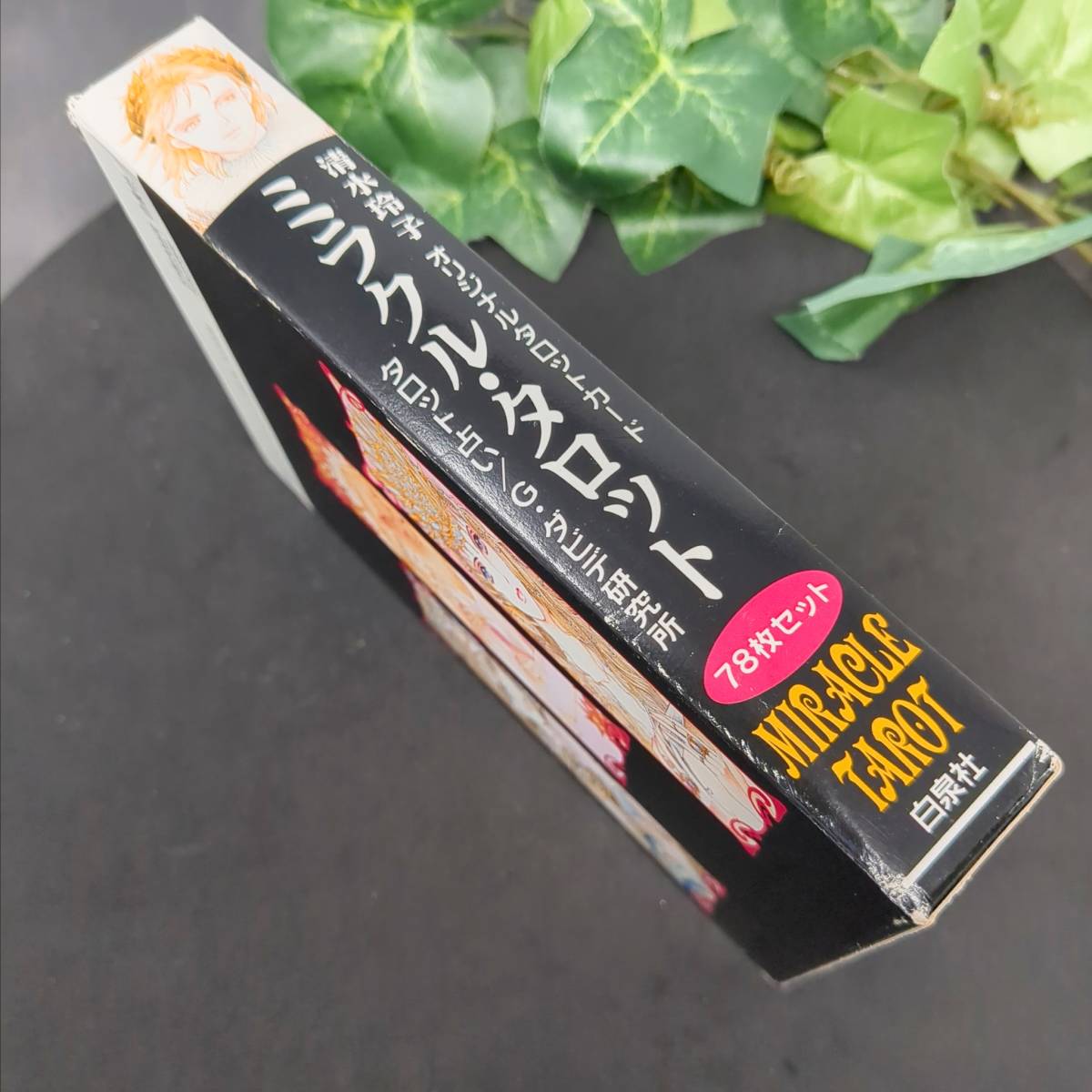 送料無料・匿名配送》美麗イラスト 希少レア 絶版/廃盤本 ミラクル