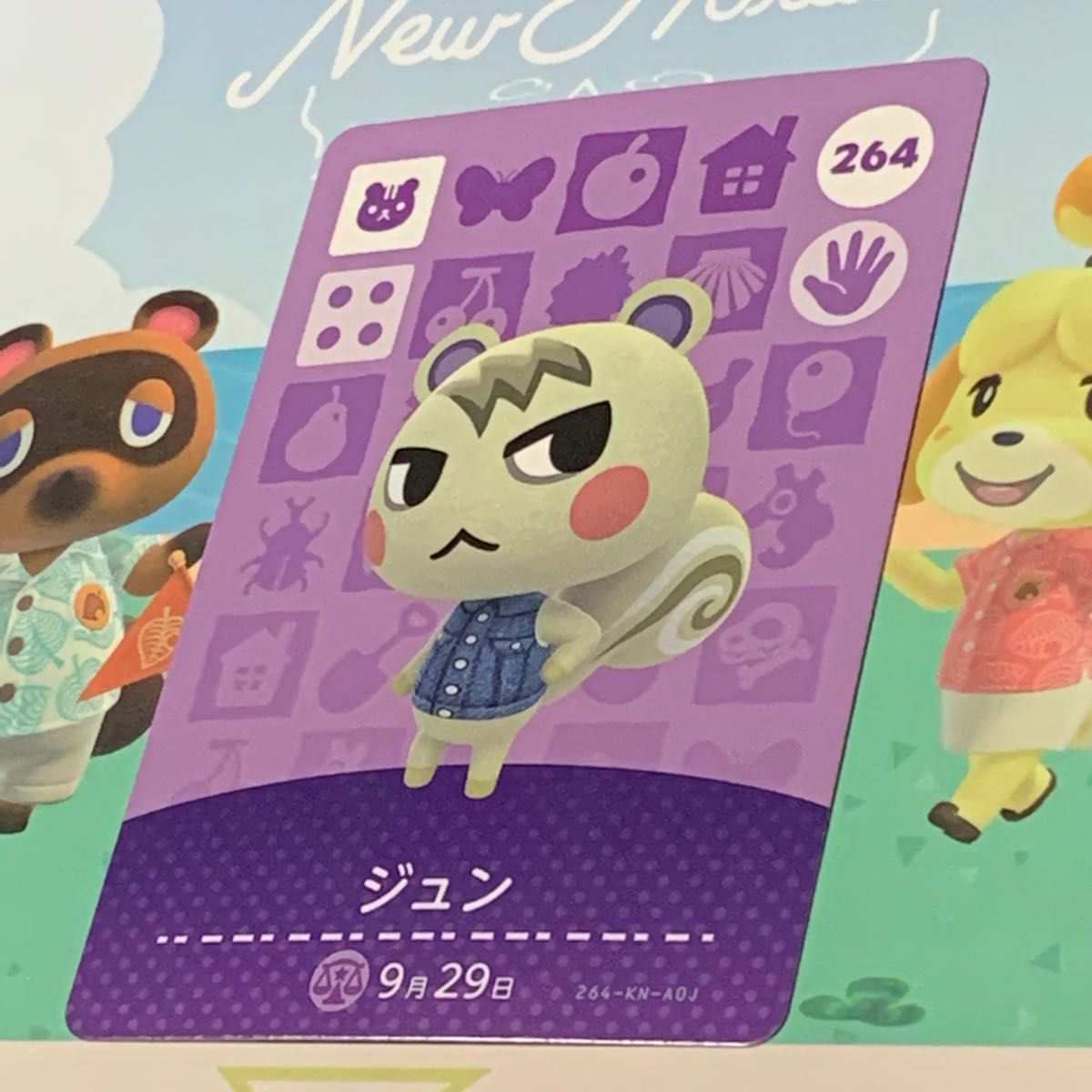アミーボカード amiibo どうぶつの森ジュン どうぶつの森amiiboカード