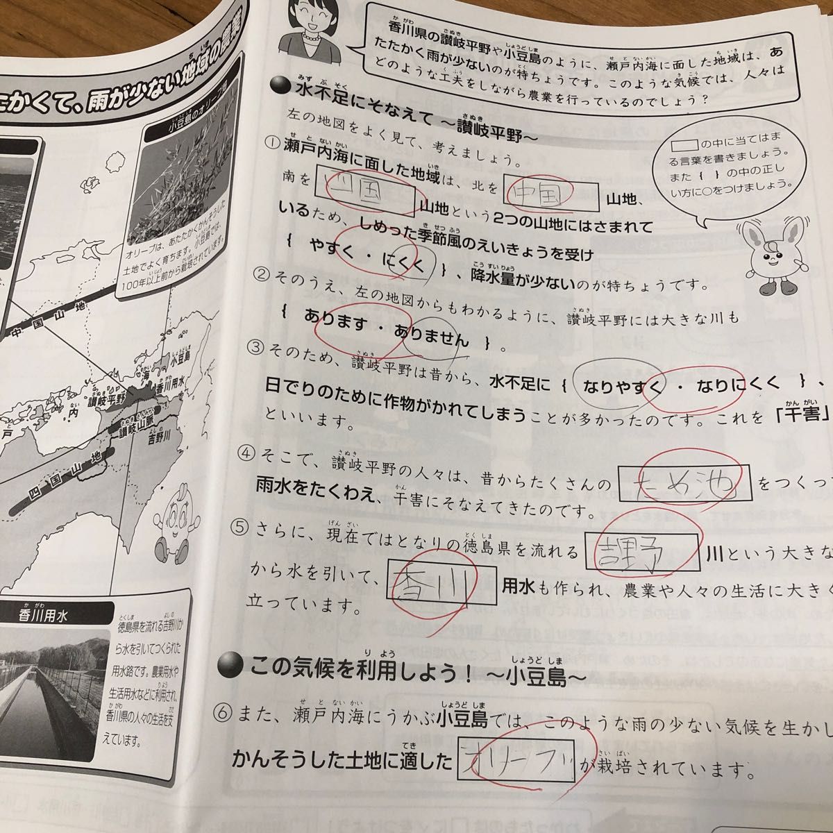 サピックス 小4 理科・社会 テキスト原本 1年分｜Yahoo!フリマ（旧
