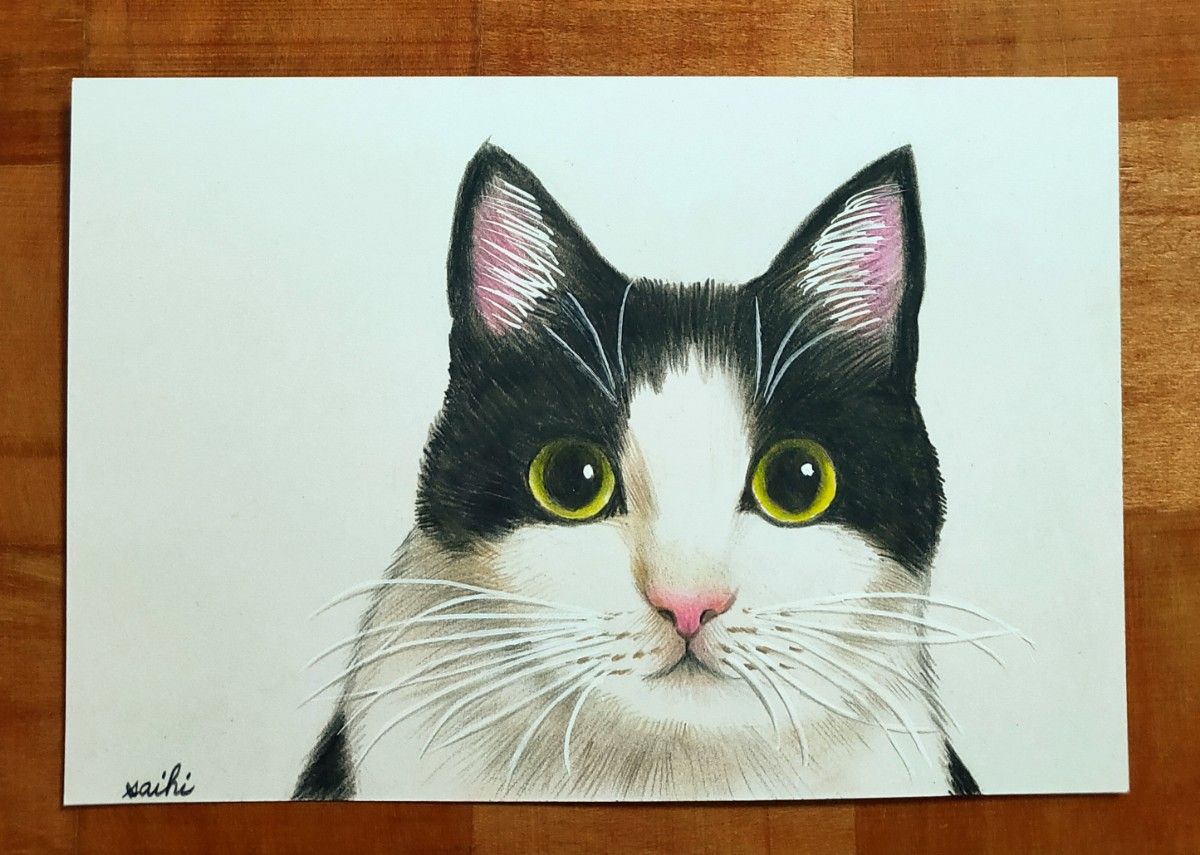 ハチワレ猫色鉛筆画｜Yahoo!フリマ（旧PayPayフリマ）