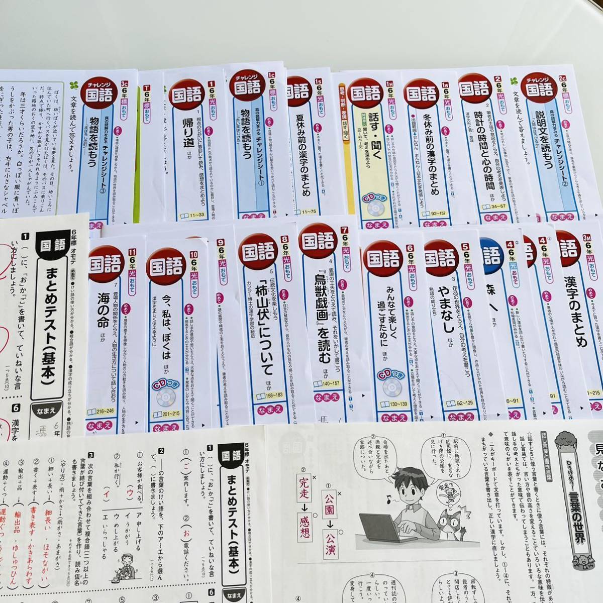 小6】国語カラーテスト【光村図書】【明治図書】 小6】国語カラー