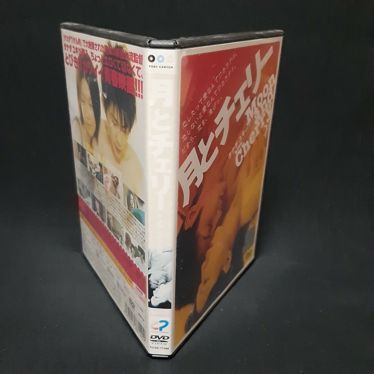 月とチェリー DVD 日本映画 江口のりこ 永岡佑 タナダユキ レンタル