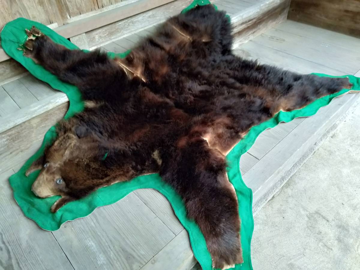 熊 毛皮 剥製 爪あり ラグ 敷物 カーペット(約180×170) 熊 毛皮 剥製