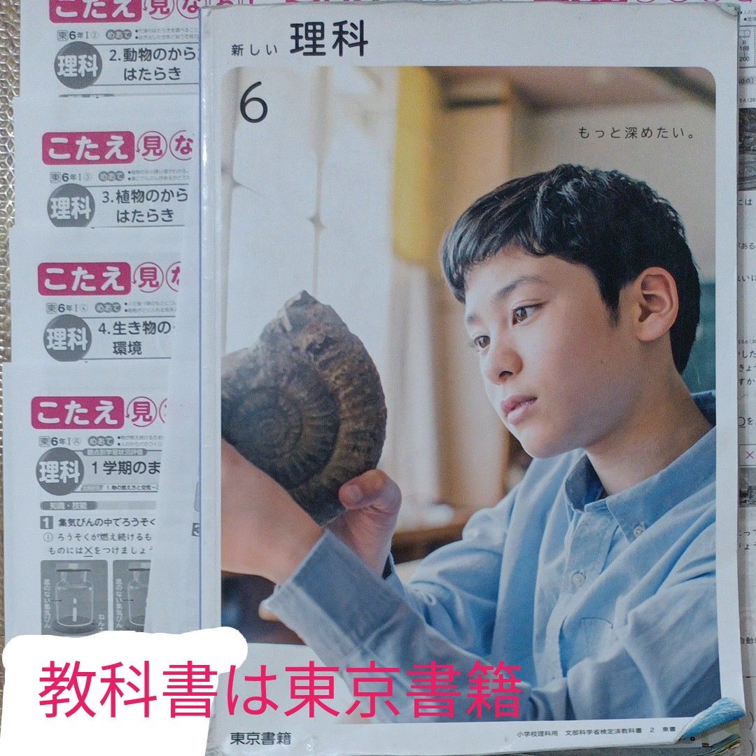 小6カラーテスト理科｜Yahoo!フリマ（旧PayPayフリマ）