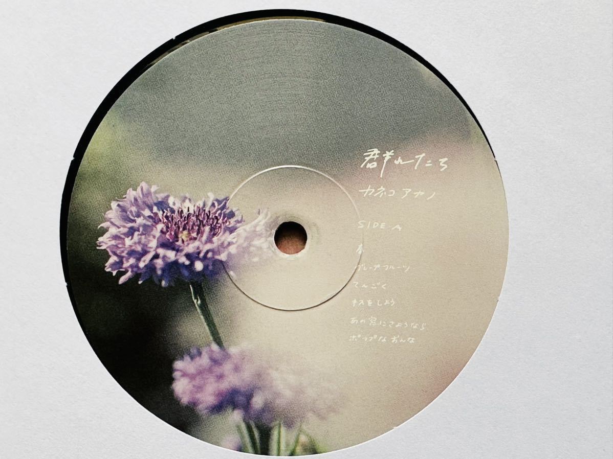 最終出品 カネコアヤノ『群れたち』500枚限定 サインLP +ポスター +