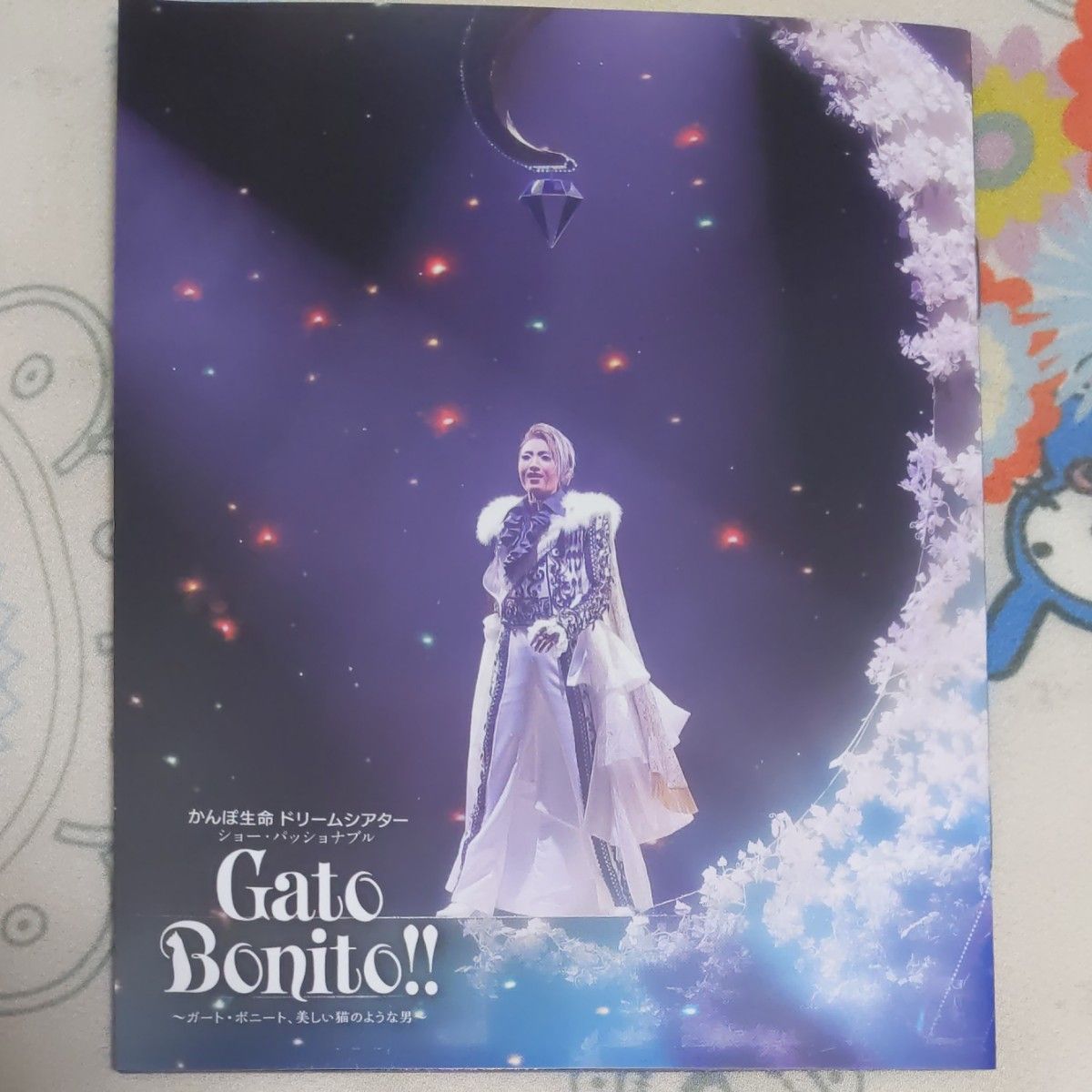 雪組 宝塚大劇場公演 「凱旋門/Gato Bonito 」 blu-ray パンフレット