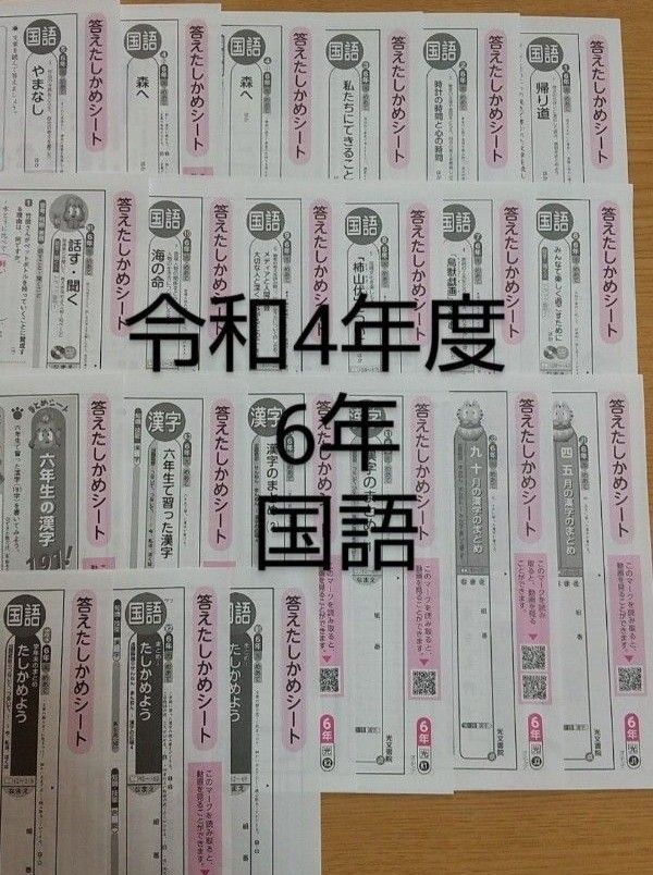 小学校6年生 国語カラーテスト光文書院の答えたしかめシート 六年 小6