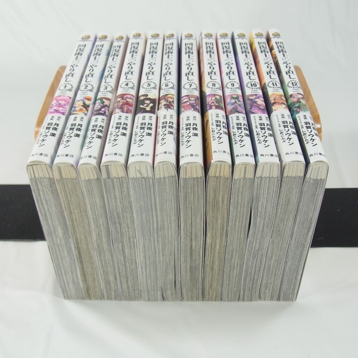 既刊全巻セット】回復術士のやり直し／1巻～12巻セット【コミック