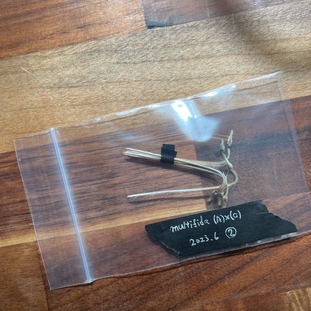 お宝】リュドヴィク・ジュリ選手 サイン入りジャージ