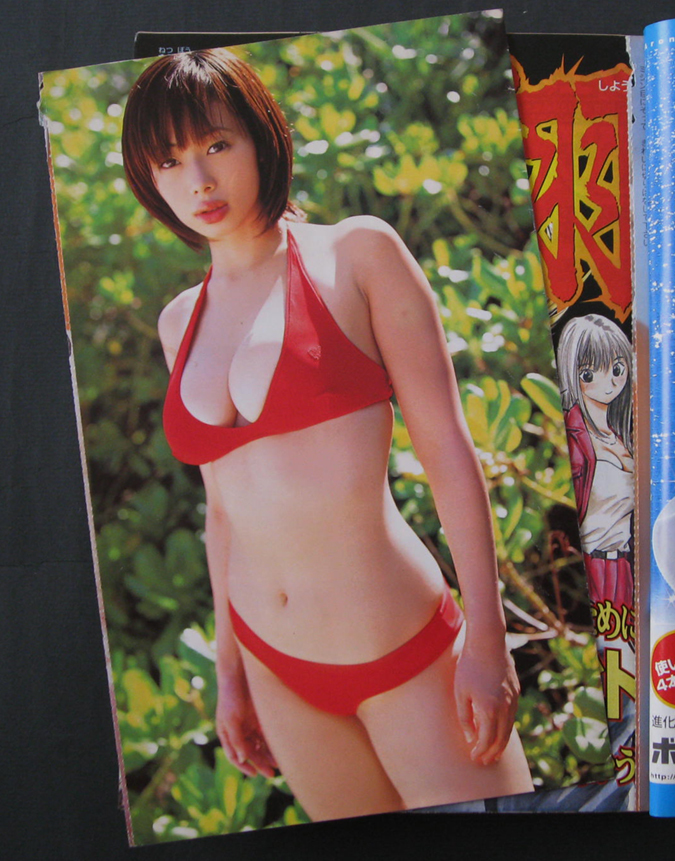 Yahoo!オークション - 少年マガジン 2004年14号／井上和香ミニ写真集