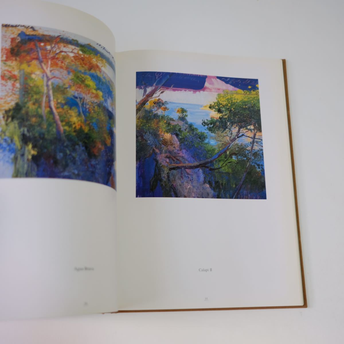 J TORRENTS LLADO】ジョアキン・トレント・リャド 画集 作品集 古本