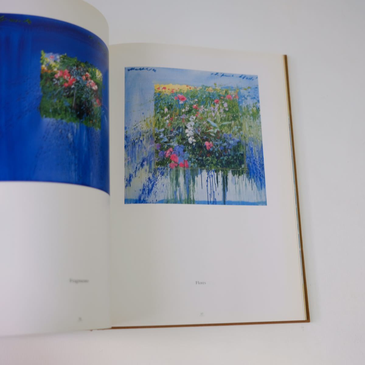 J TORRENTS LLADO】ジョアキン・トレント・リャド 画集 作品集 古本