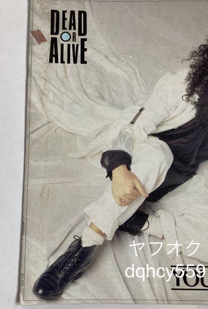 デッドオアアライブ ツアーパンフ DEAD OR ALIVE ピート・バーンズ