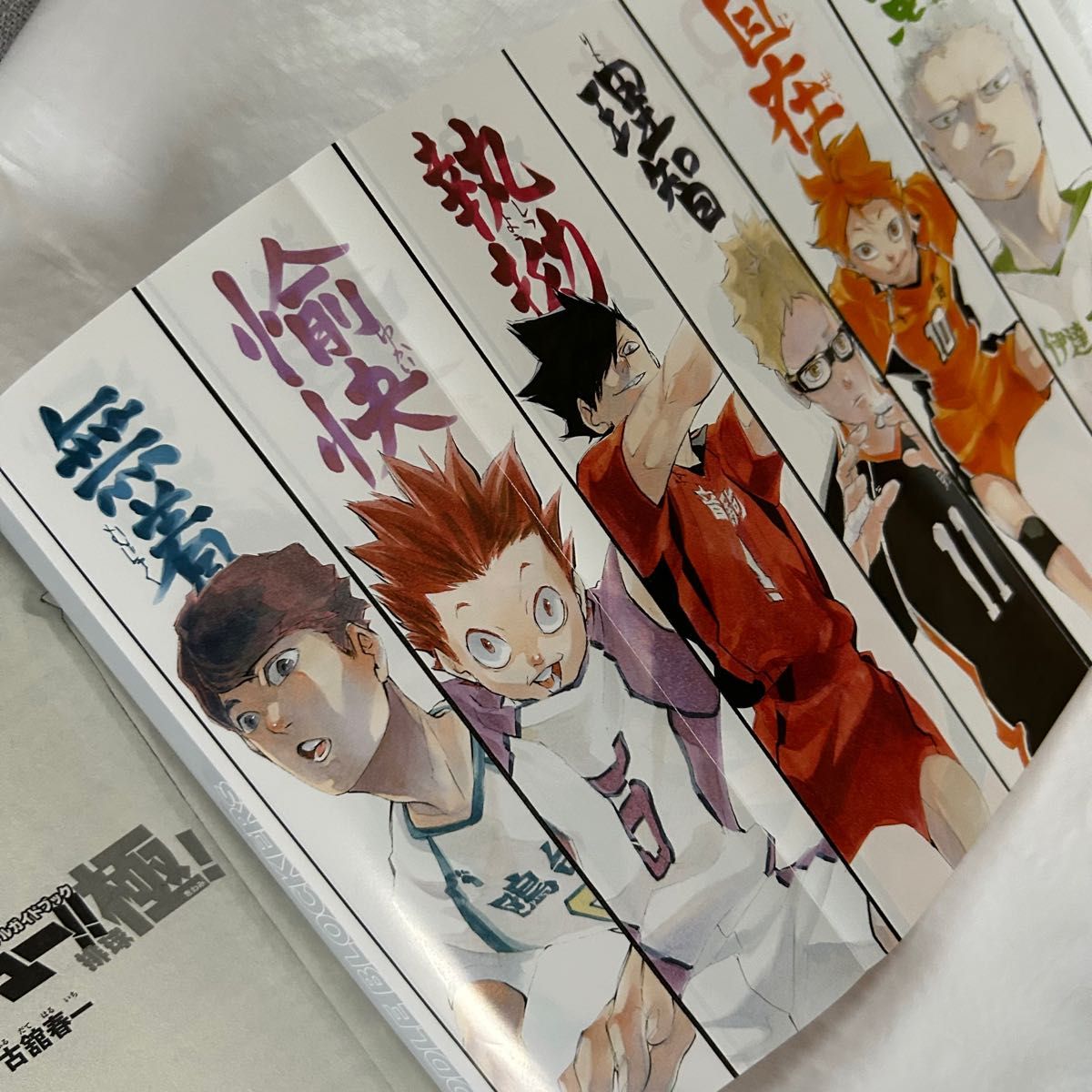 ハイキュー ファイナルガイドブック 排球極｜Yahoo!フリマ（旧PayPay