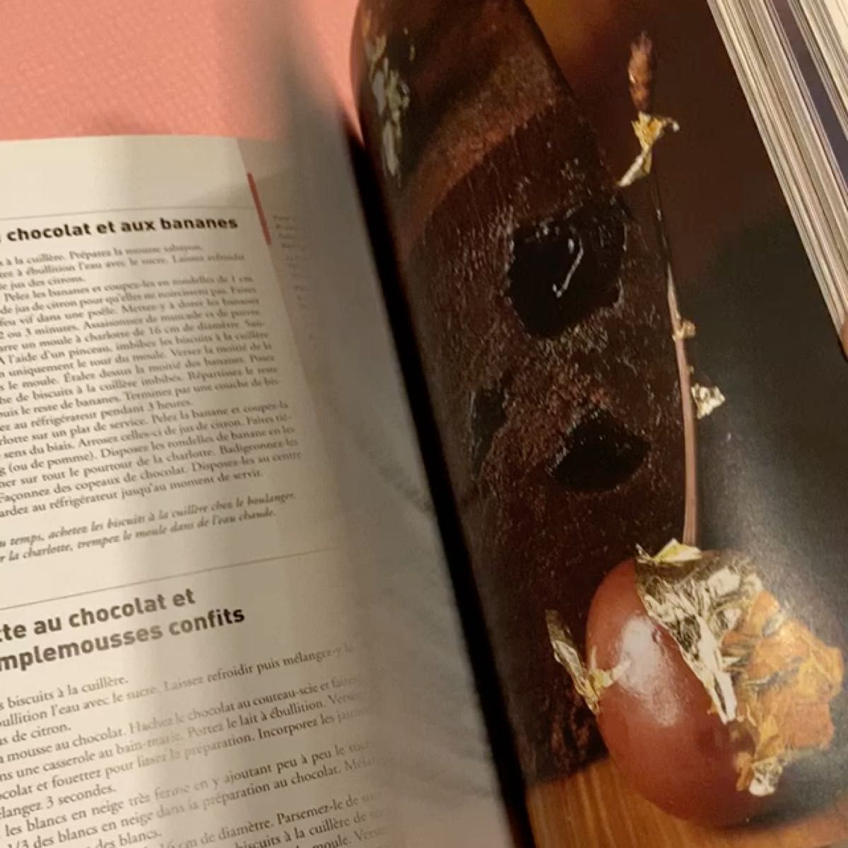 ラデュレ L'Esprit Chocolat チョコレート 本 フランス語 洋書