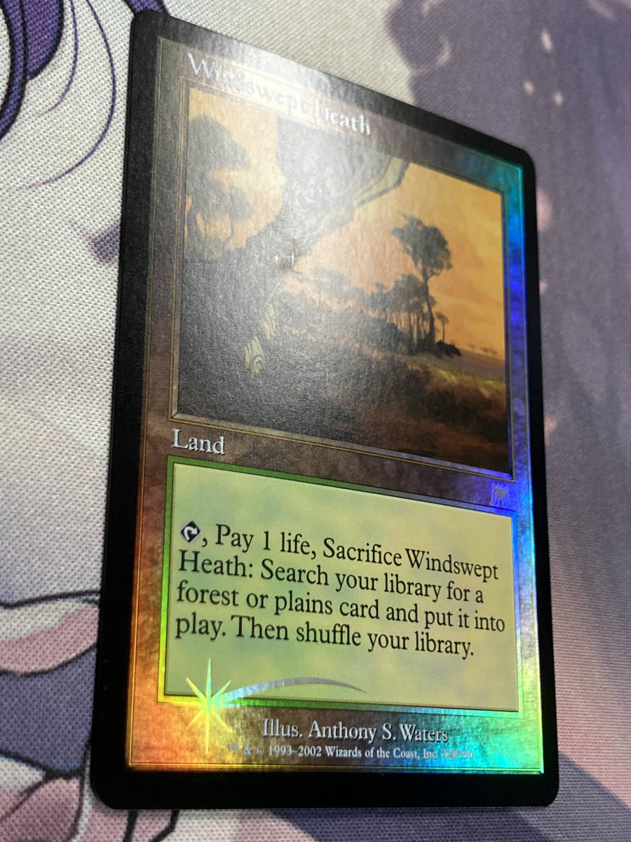 MTG 吹きさらしの荒野 Foil フォイル 英語版 MTG 《吹きさらしの荒野