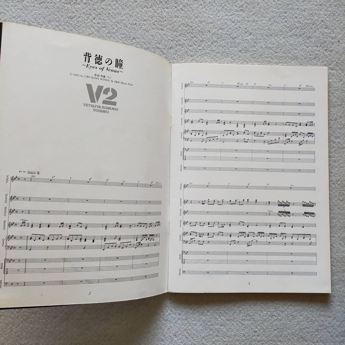 V2 TETSUYA KOMURO YOSHIKI 背徳の瞳 Virginity 小室哲哉 ヨシキ