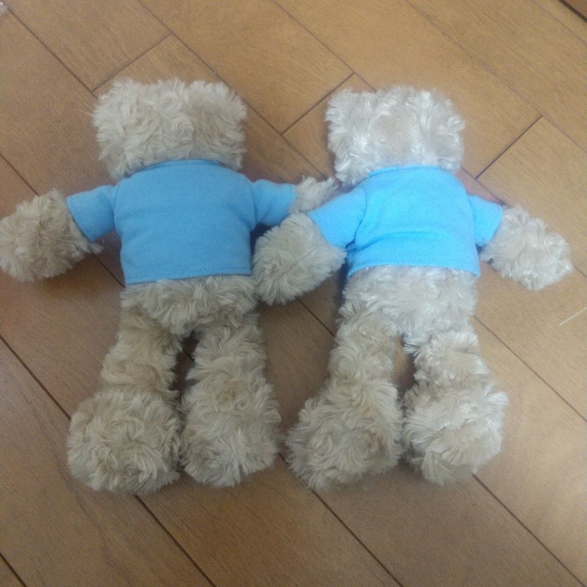 ゴールドマンサックス ベア ノベルティ 非売品 テディベア くまの