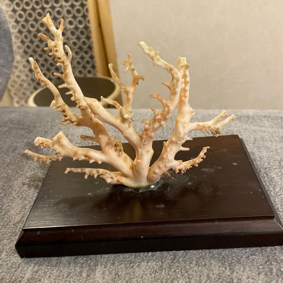 珊瑚 原木 置物 珊瑚原木 ピンク珊瑚 サンゴ置物 コーラル オブジェ
