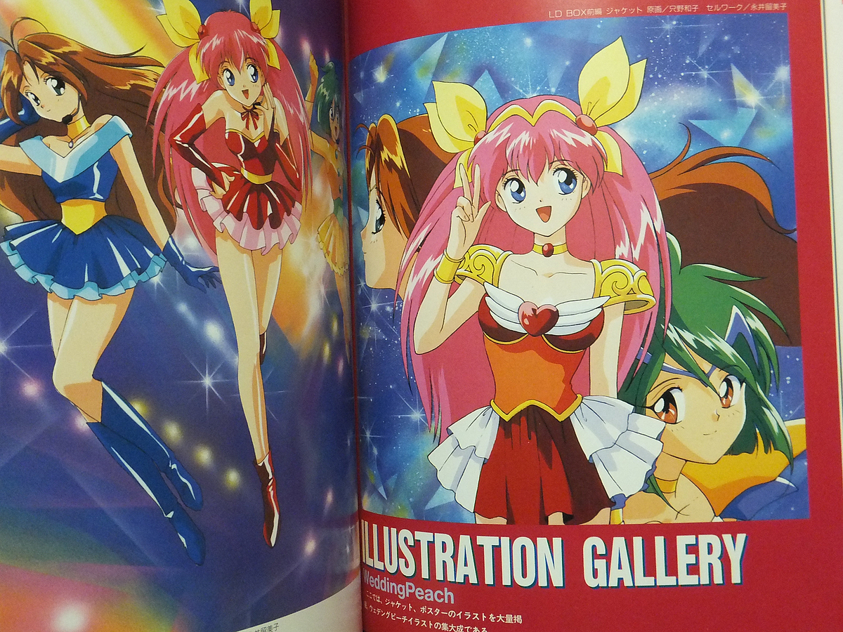 Yahoo!オークション - ウェディングピーチ シークレットファイル／This