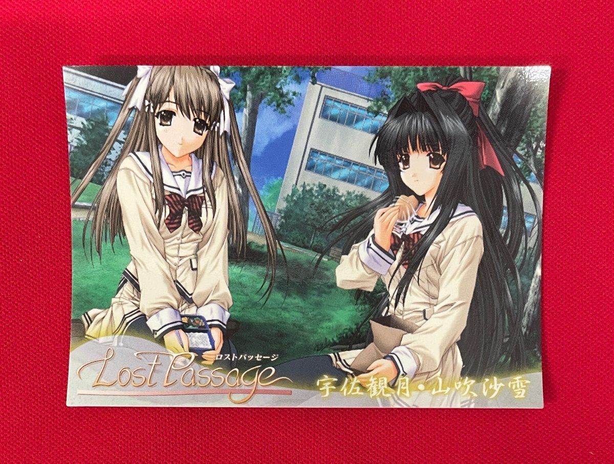 Yahoo!オークション - Lost Passage ロストパッセージ／宇佐観月・山吹