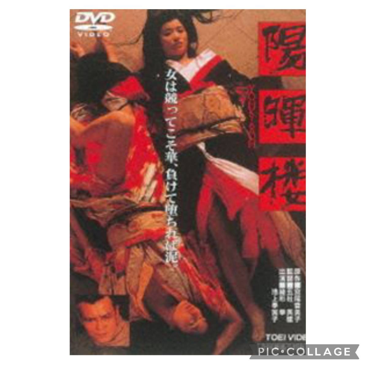 ガラスのうさぎ 東京大空襲 DVD 戦争 ドラマ 蛯名 由起子 その他