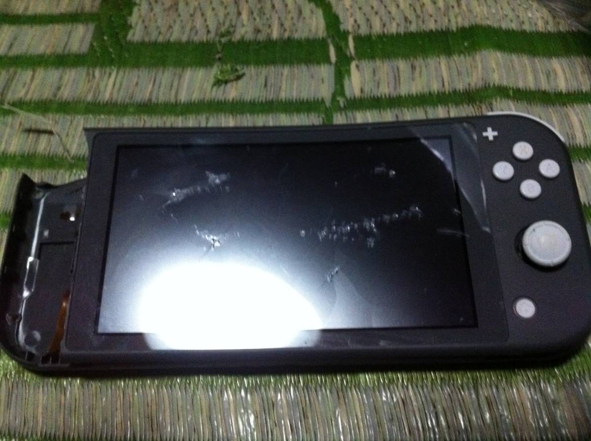 Nintendo Switch Lite ニンテンドースイッチライト HDH-001 部品取り用