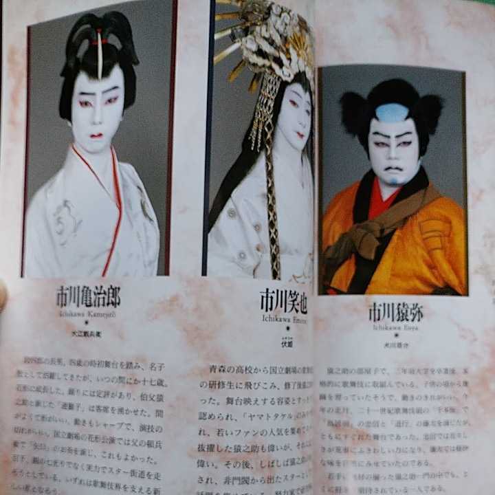 スーパー歌舞伎「八犬伝」パンフレット 市川猿之助(現猿翁)亀治郎(現