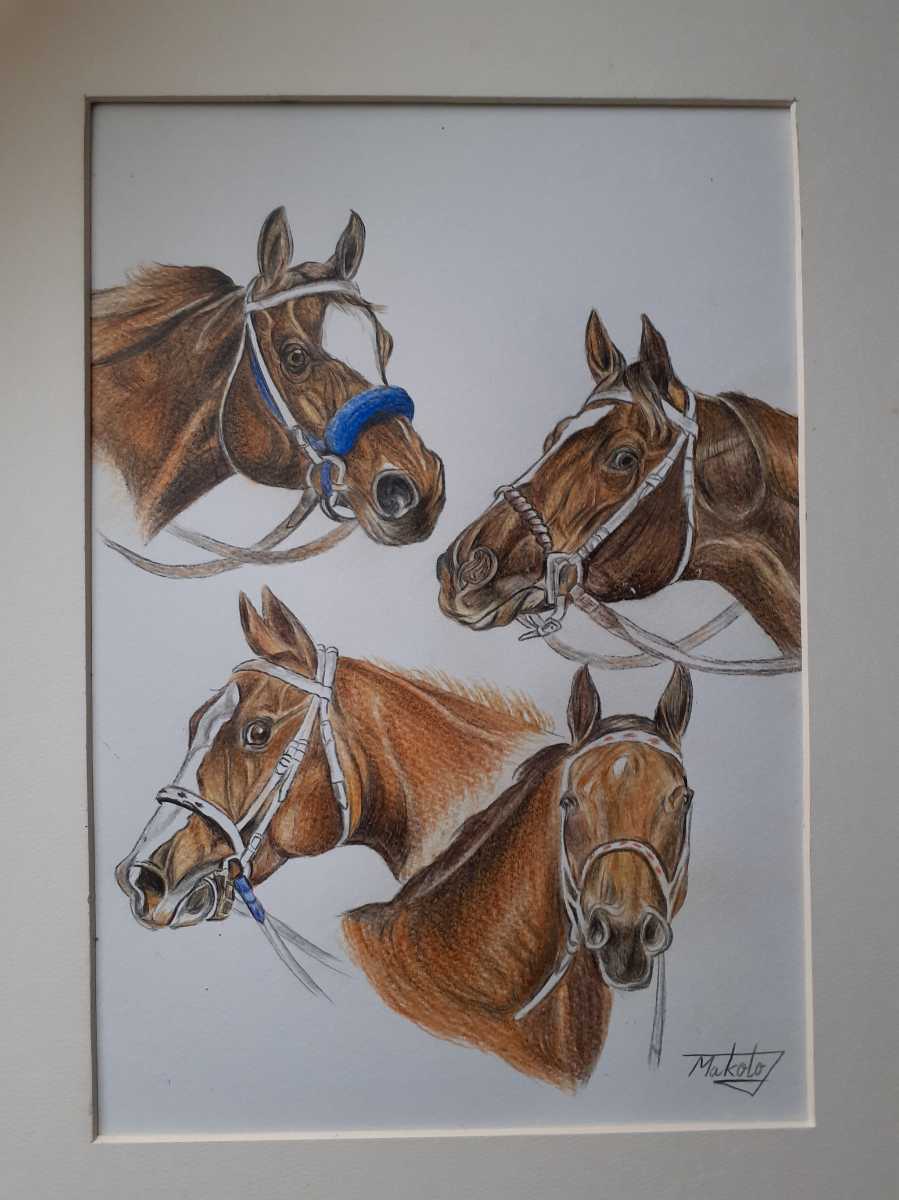 色鉛筆画 名馬｜Yahoo!フリマ（旧PayPayフリマ）