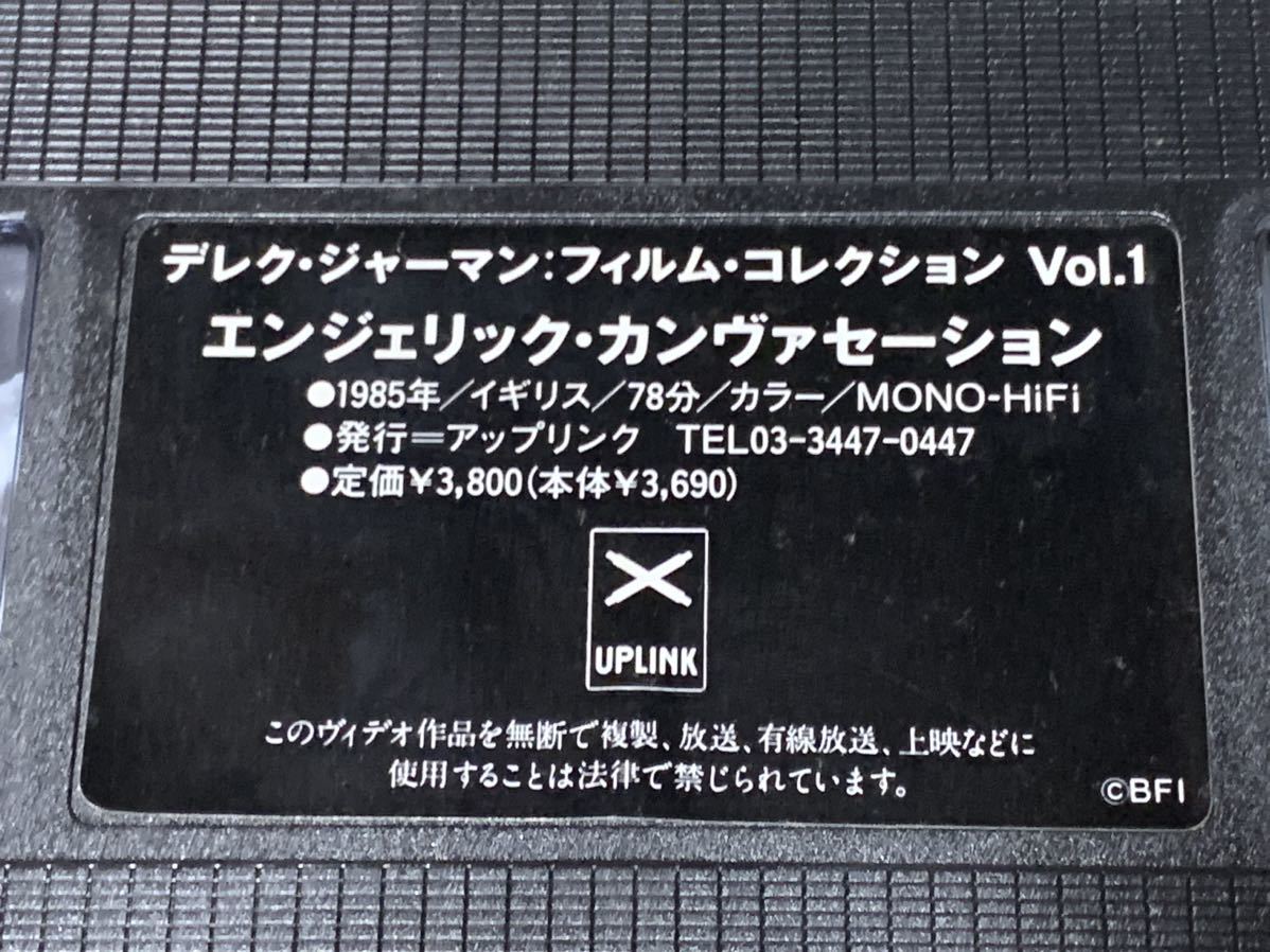 デレク・ジャーマン フィルム・コレクション Vol 1 エンジェリック